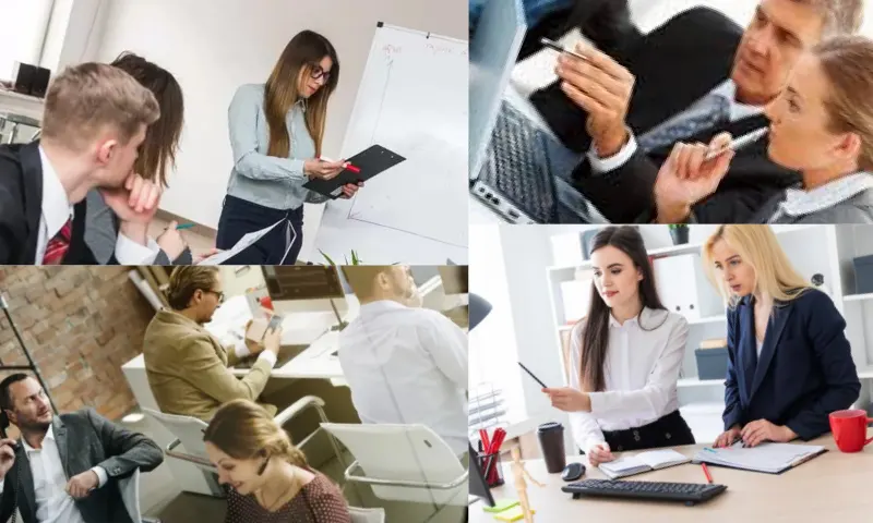 Ofis Yönetimi Nedir?