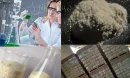 Polyanionic Cellulose High Viscosity Nedir?