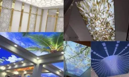 Lacquer Stretch Ceiling Types