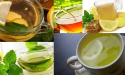 How to Make Mint Lemon? What are its Benefits?