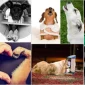 Köpekler Neden İnsanları Yalar?