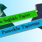 En Sağlıklı Tişört Pamuklu Tişörttür