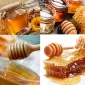 Turkish Honey Çeşitleri Nelerdir?