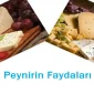 Peynirin Faydaları