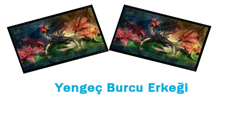 Yengeç Burcu Erkeği